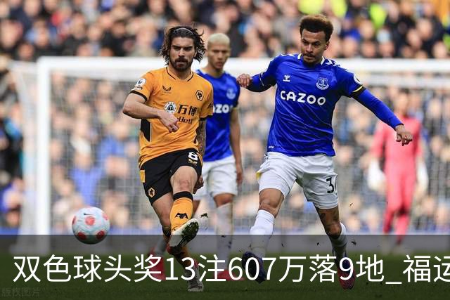 双色球头奖13注607万落9地 福运奖开1004万注